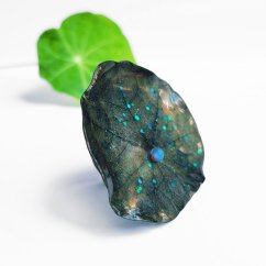 Prsten Lekním